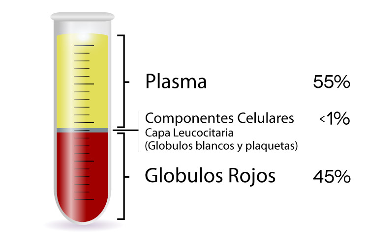 composicion de la sangre-placas